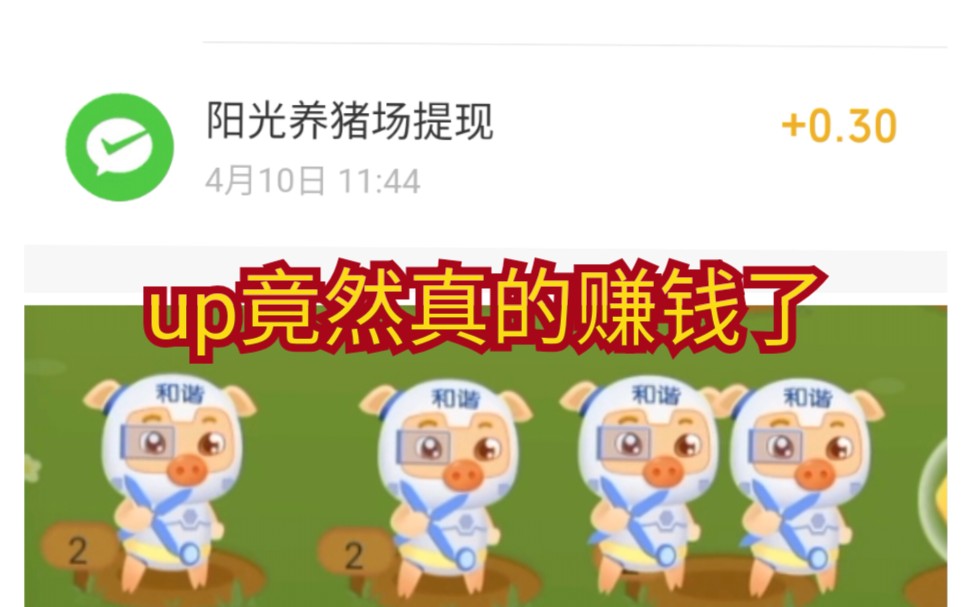 阳光猪场赚钱版下载苹果版阳光养猪场app一天能赚多少