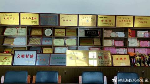 甬上客户端宁波政务app-第2张图片-太平洋在线下载