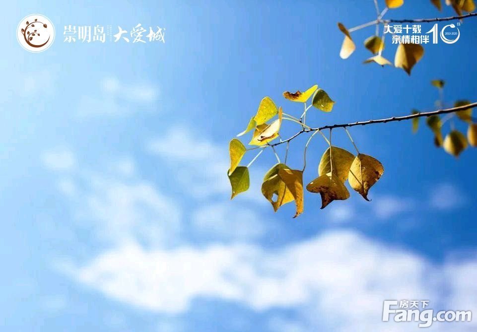 九爱城手机版爱山东手机版下载-第2张图片-太平洋在线下载