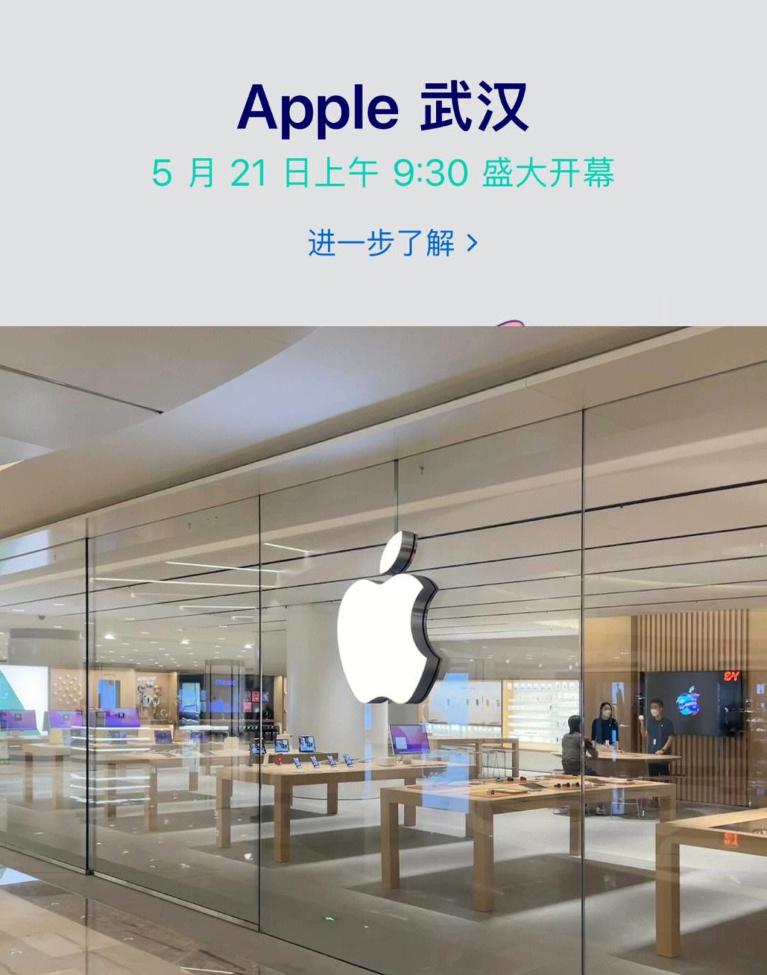 大武汉客户端ios本色app客户端ios