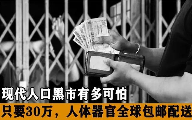 x奴安卓版下载hypnoapp官方pc版下载-第2张图片-太平洋在线下载