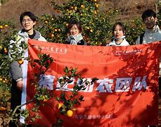 i川农苹果版i川农官网登录