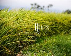 i川农苹果版i川农官网登录-第2张图片-太平洋在线下载