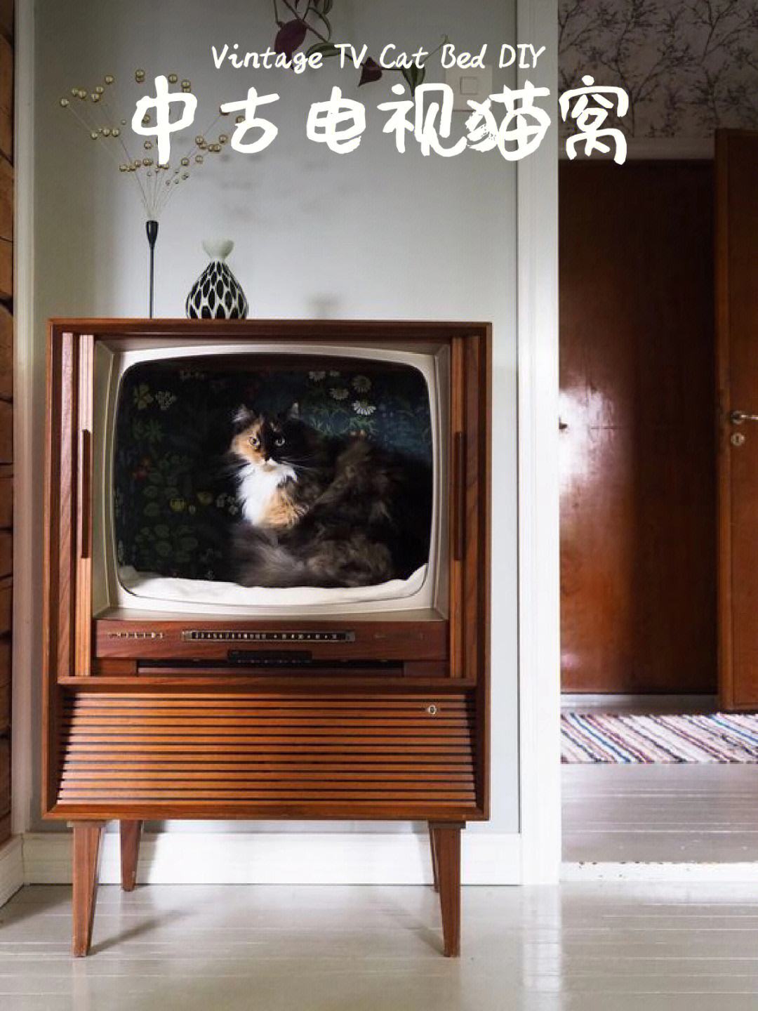 电视猫手机版老版猫和老鼠动画片全集国语100集免费老版-第2张图片-太平洋在线下载