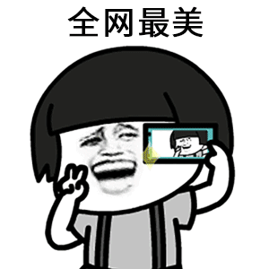 表情相机安卓版谷歌相机安卓下载全机型